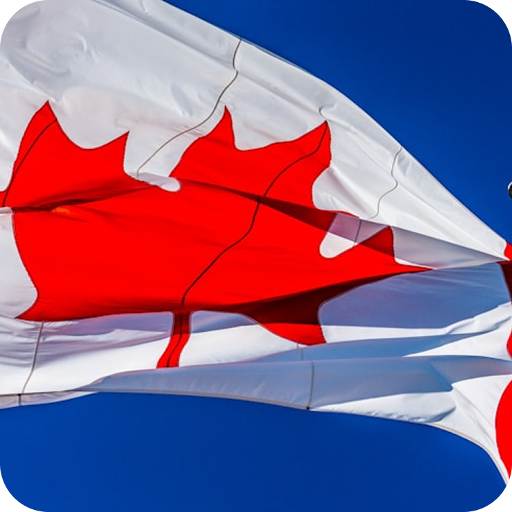 Federal Elections, Parties & Politics